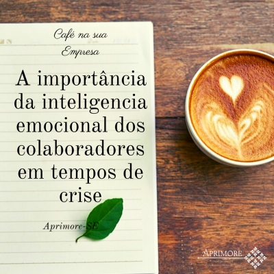 A import&acirc;ncia da Intelig&ecirc;ncia Emocional dos colaboradores em tempos de crise.