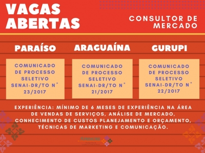 CONSULTOR DE MERCADO